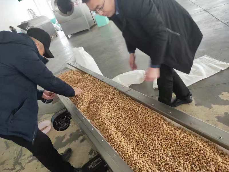 歡迎烏魯木齊客戶江總來廠考察電磁炒貨機，現場訂購一臺鷹嘴豆炒貨機！